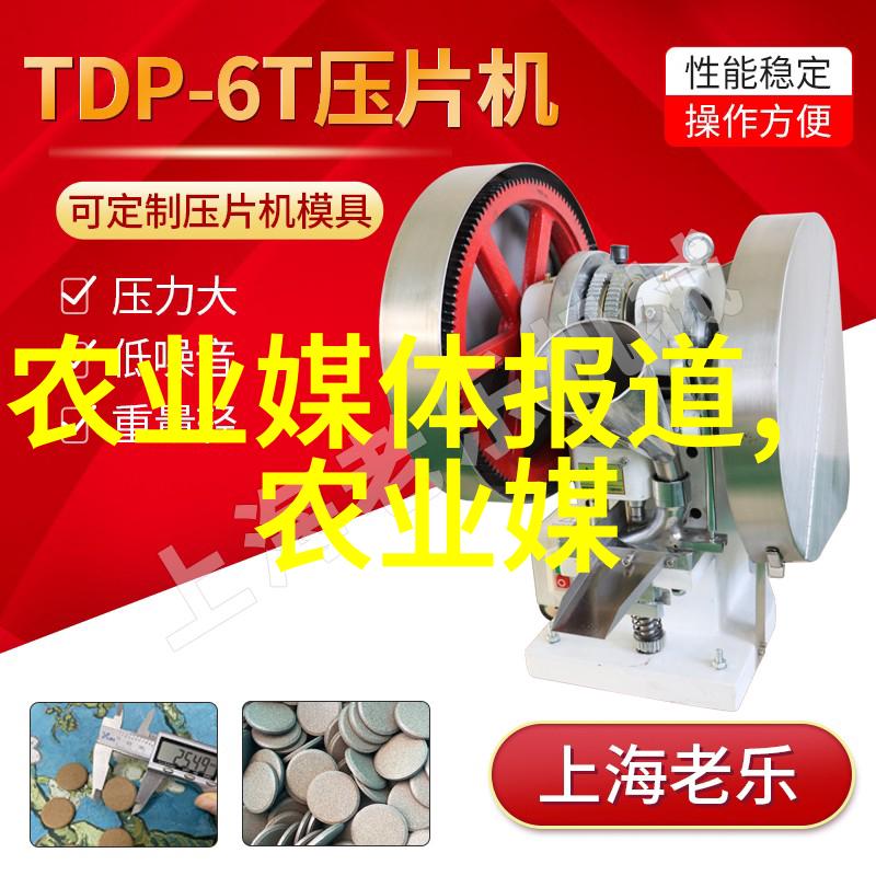 中国新闻网 经济观察定调 三农工作 乡村全面振兴再深入
