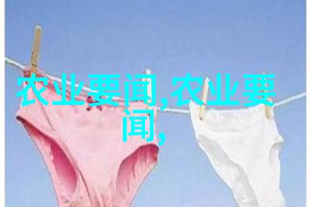 从有机可用到有好机用