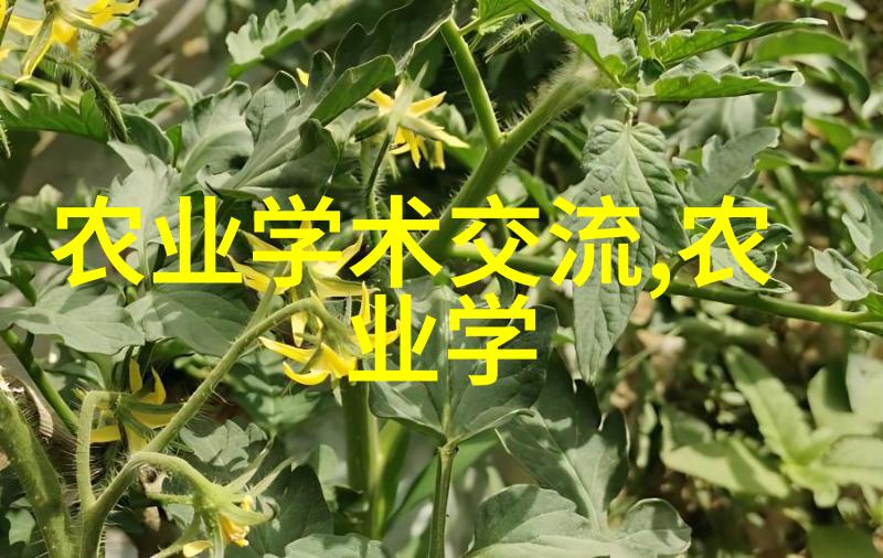 农经所召开党委专题学习会深入学习党的二十届三中全会精神
