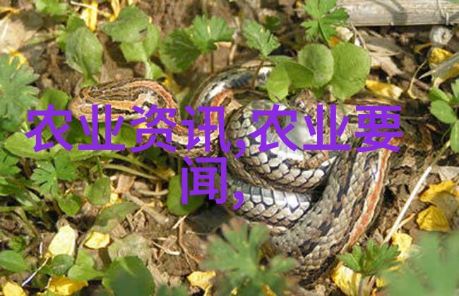确保农民工工资及时足额发放