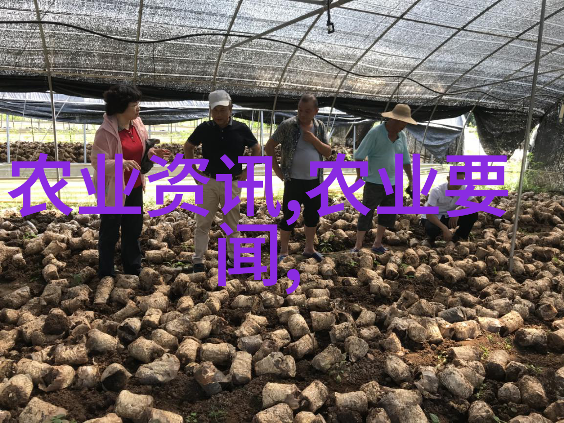 告别地趴粮 新粮住新房